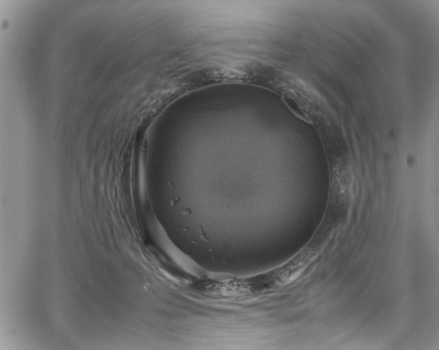 X0000067950223200604171443