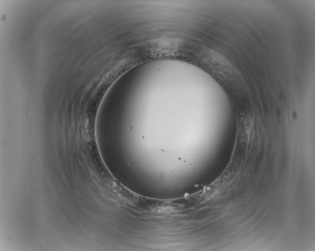 X0000067950224200604171443