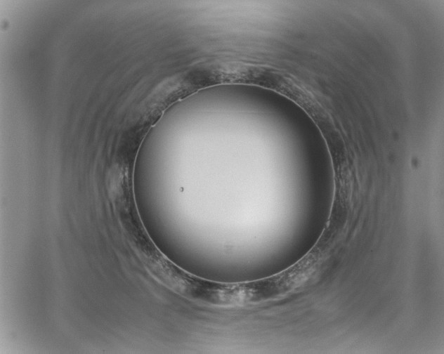 X0000067950225200604171443