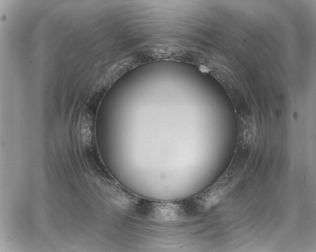 X0000067950226200604171443