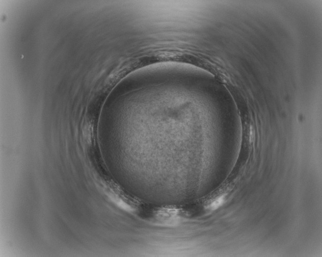 X0000067950227200604171443