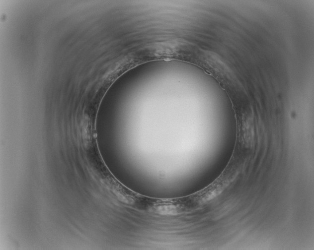 X0000067950228200604171443