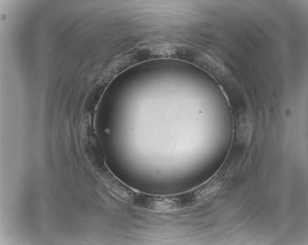 X0000067950229200604171443