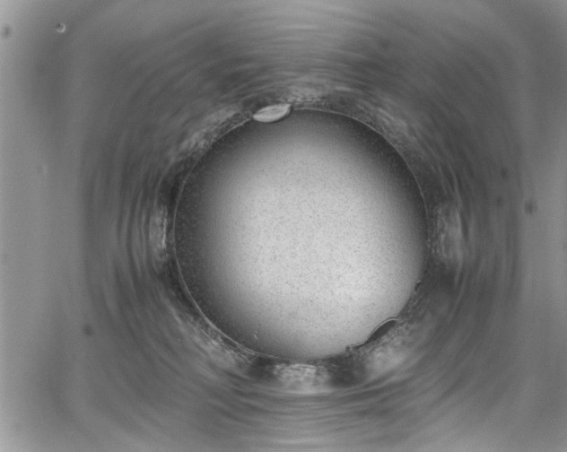 X0000067950230200604171443