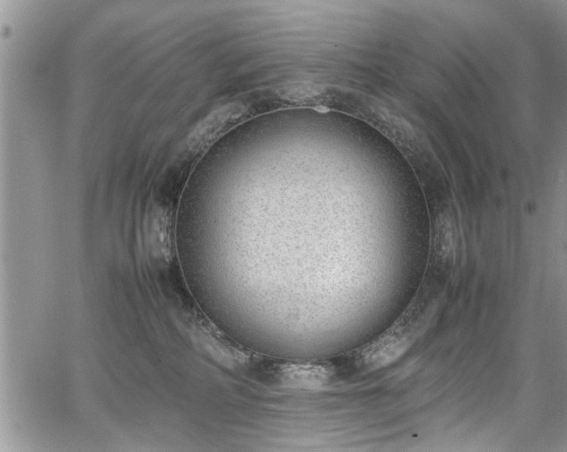 X0000067950234200604171443