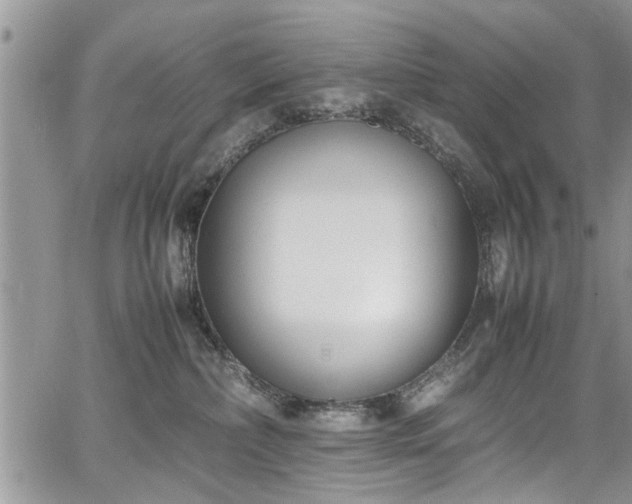 X0000067950236200604171443