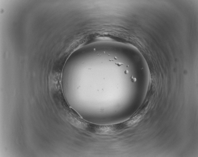 X0000067950237200604171443