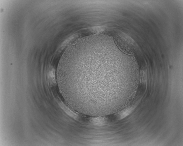 X0000067950238200604171443