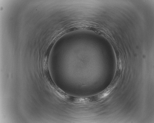 X0000067950239200604171443