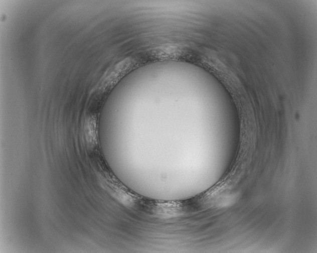 X0000067950240200604171443