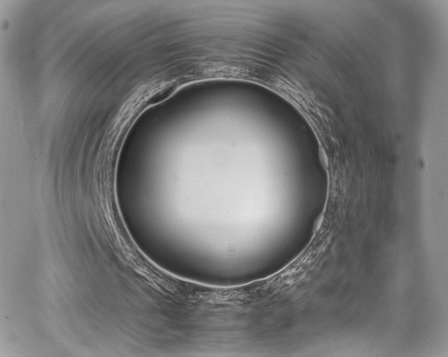 X0000067950241200604171442