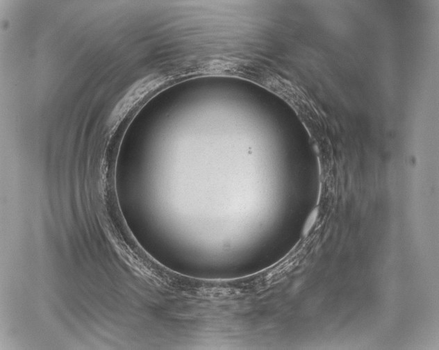 X0000067950242200604171442