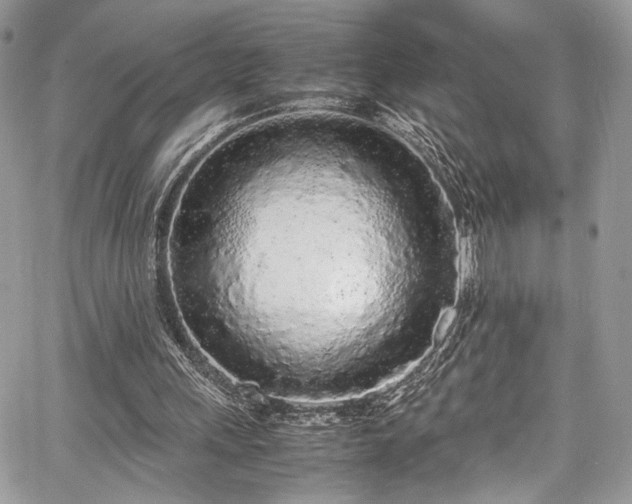 X0000067950243200604171442