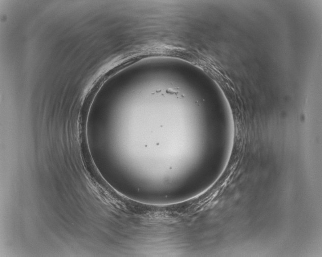 X0000067950244200604171442