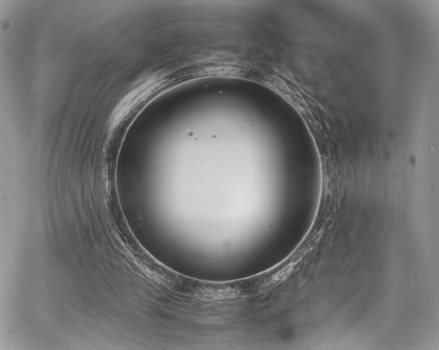 X0000067950245200604171442