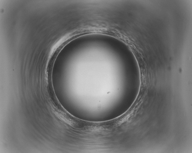 X0000067950246200604171442