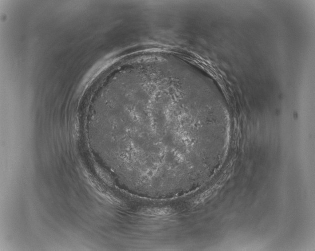 X0000067950247200604171442