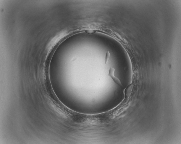 X0000067950248200604171442