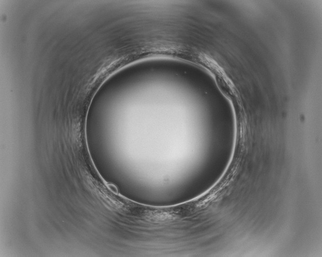 X0000067950249200604171442