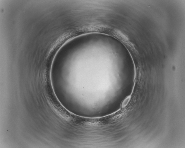 X0000067950250200604171442