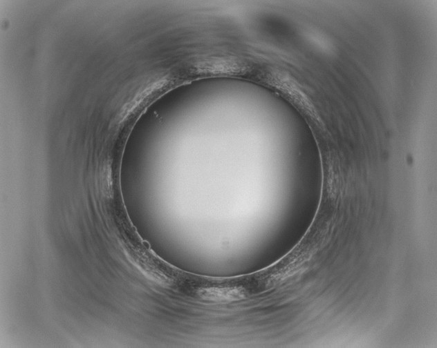 X0000067950251200604171442