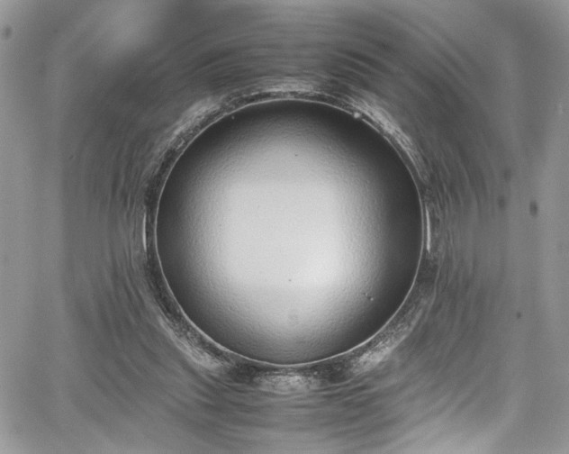 X0000067950253200604171442