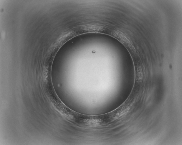 X0000067950255200604171443