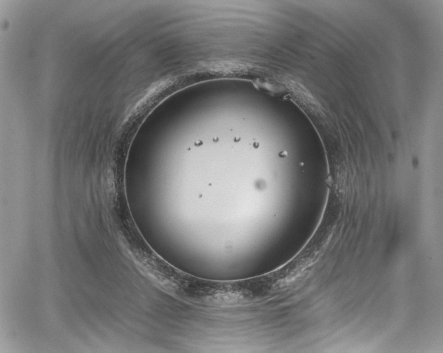 X0000067950256200604171443