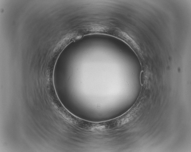 X0000067950257200604171443