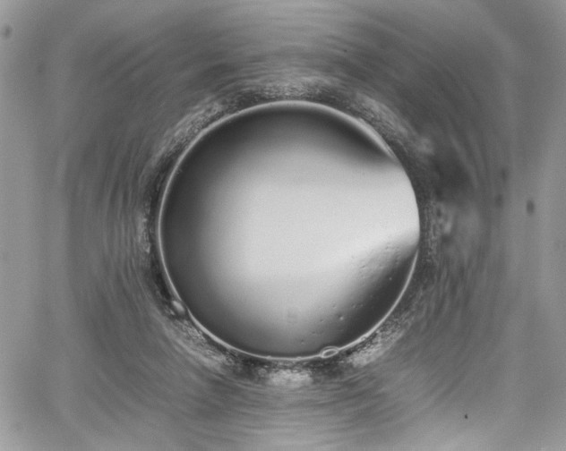 X0000067950258200604171443