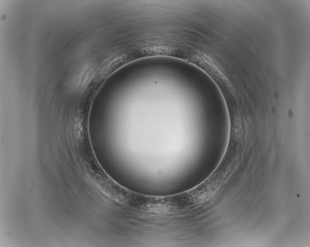 X0000067950259200604171443