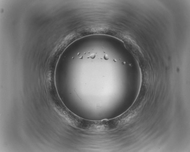 X0000067950260200604171443