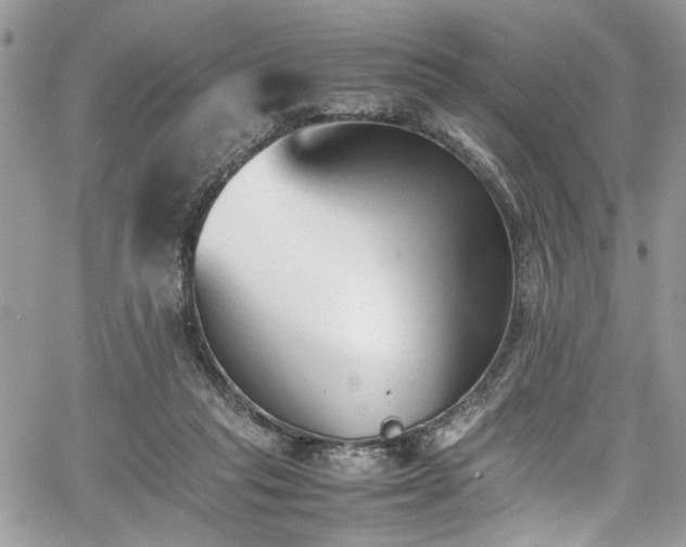 X0000067950261200604171443