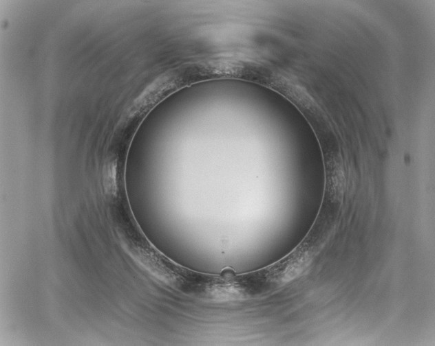 X0000067950262200604171443