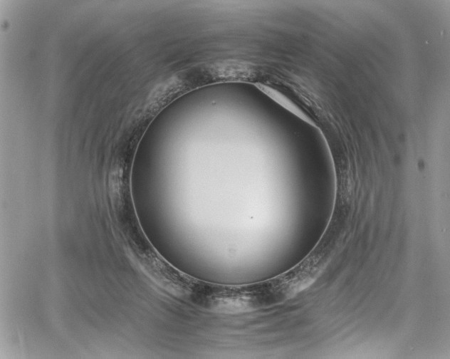 X0000067950263200604171443