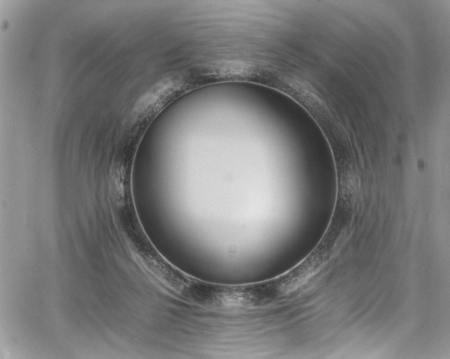 X0000067950264200604171443