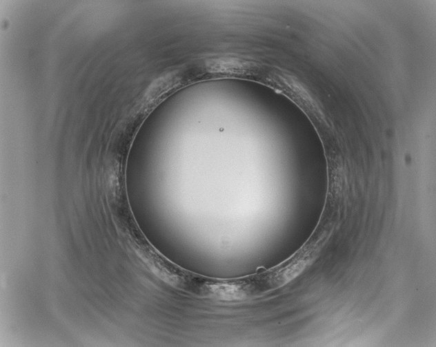 X0000067950265200604171443