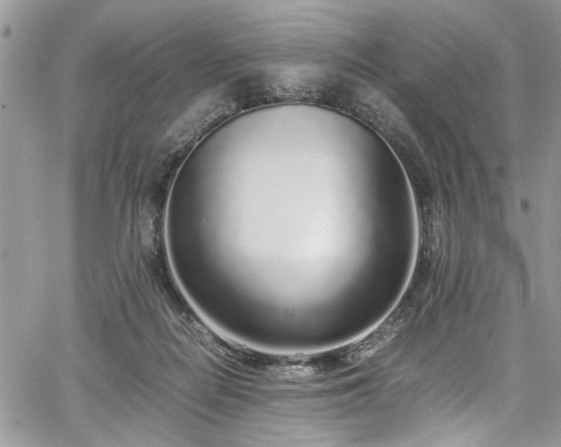 X0000067950266200604171443