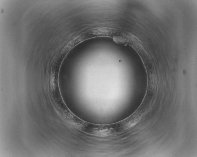 X0000067950267200604171443