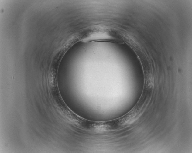 X0000067950268200604171443