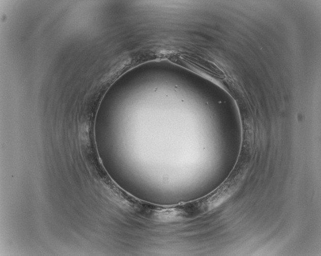 X0000067950269200604171443