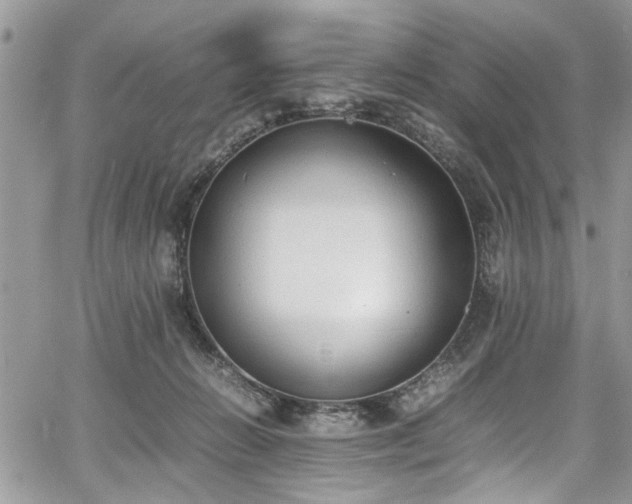 X0000067950270200604171443