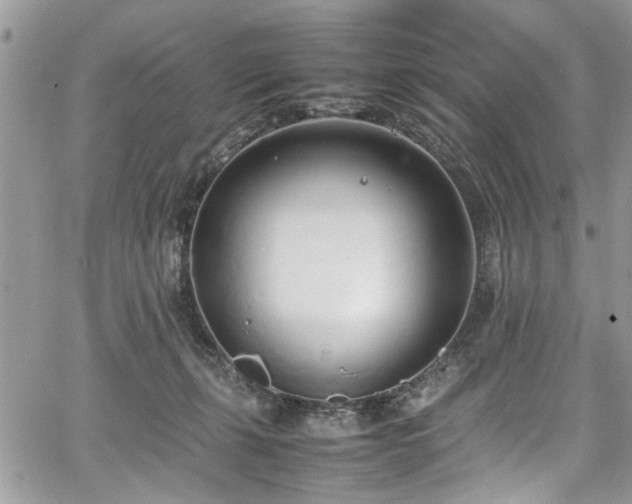 X0000067950271200604171443