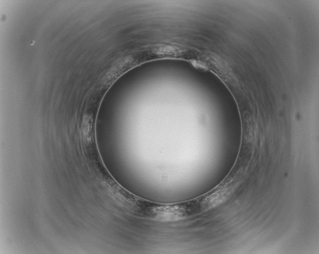 X0000067950273200604171443