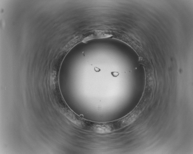 X0000067950275200604171443