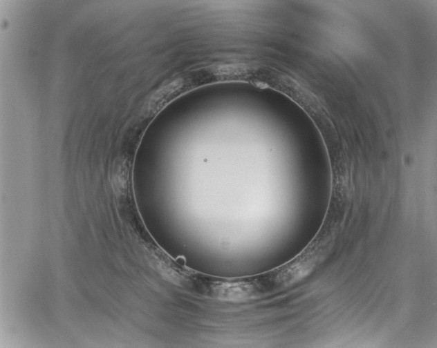 X0000067950277200604171443