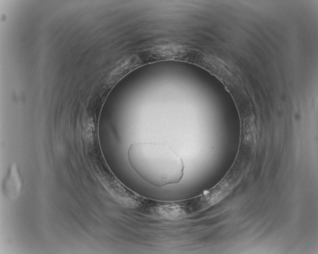 X0000067950279200604171443