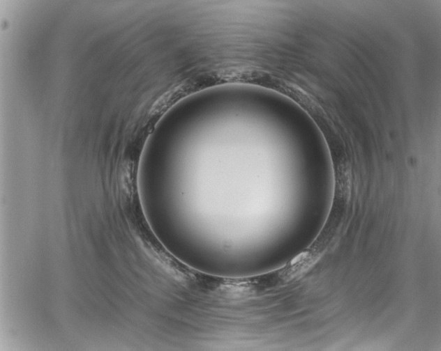 X0000067950280200604171443