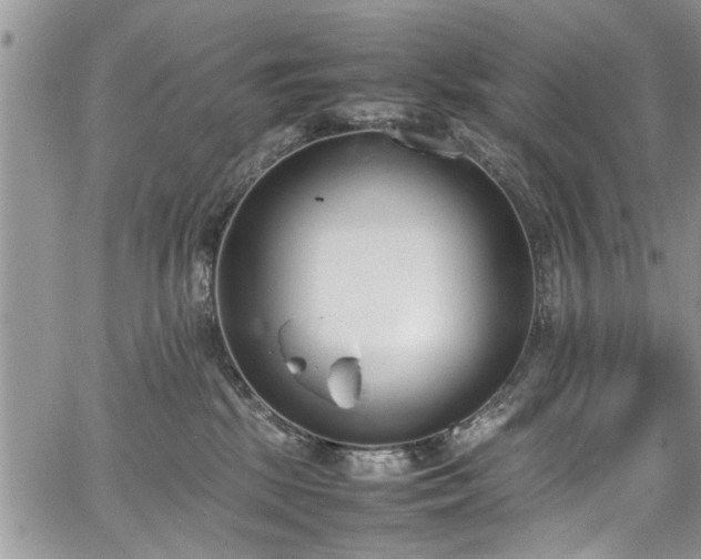 X0000067950281200604171443