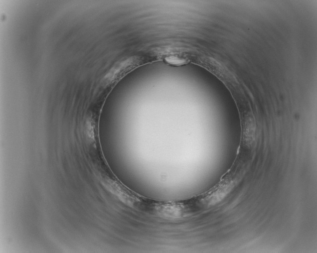 X0000067950282200604171443